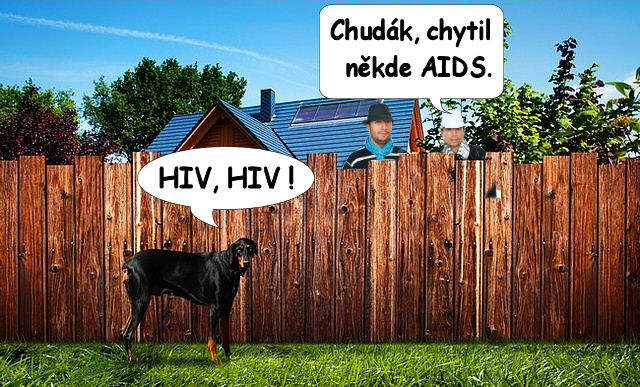 480 HIV pes