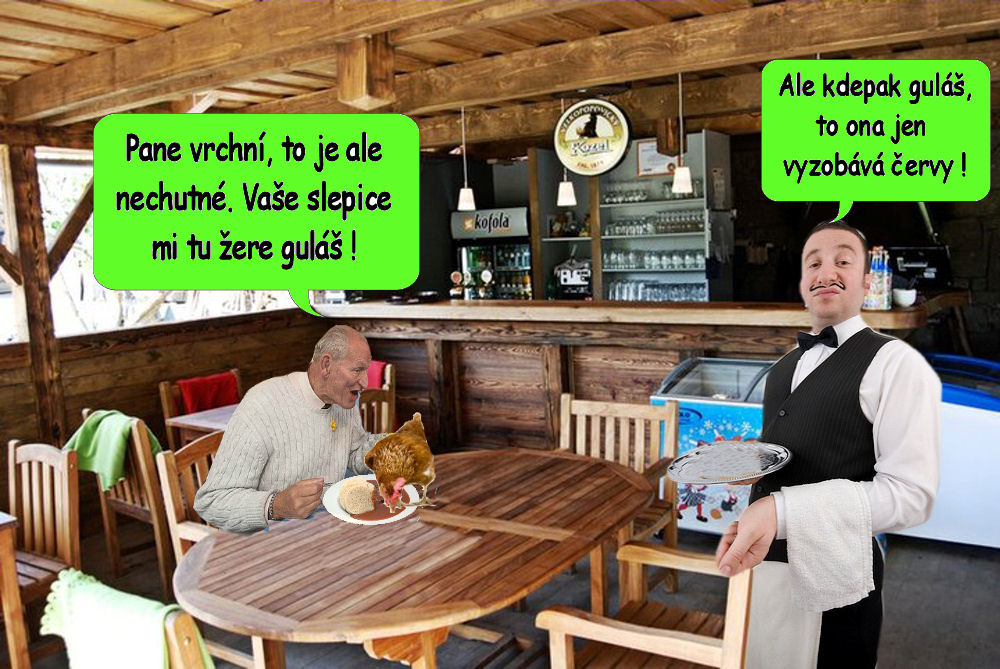 1411 červi