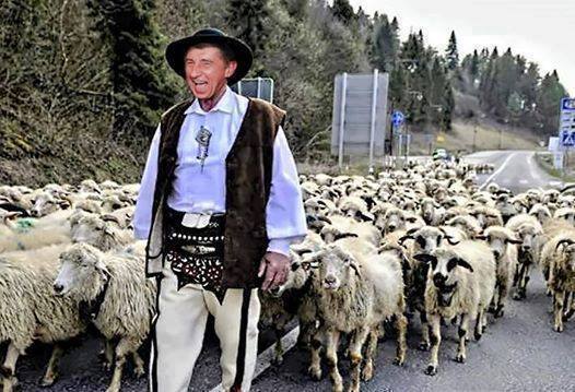 Včera v Průhonicích