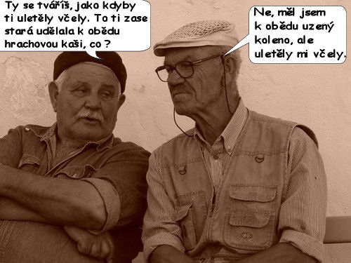 679 včely