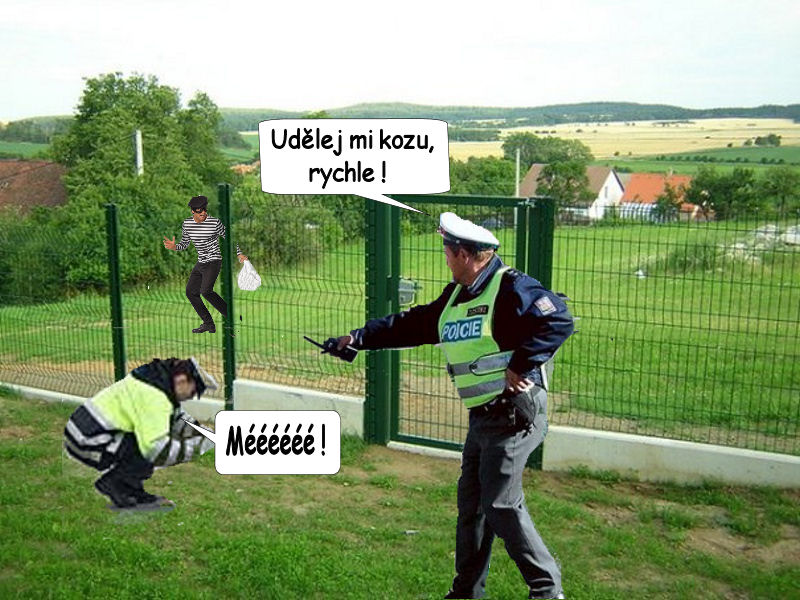 821 honička