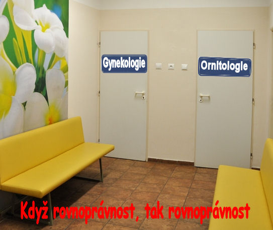 1079 rovnoprávnost